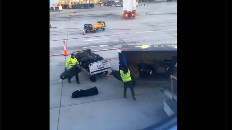 Der Blick aus dem Flugzeugfenster zeigt den groben Umgang mit dem Golfgepäck. (Quelle: X @ETSU_MGolf)