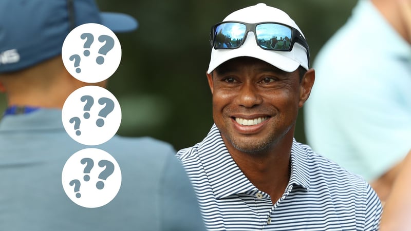 Welche Golfer schafften es neben Tiger Woods in die Top 100? (Foto: Getty)