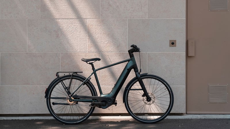 Decathlon: Das neue LD 920E AUTOMATIC E-Bike mit hohem Einstieg. (Foto: Decathlon)