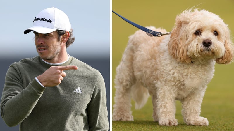 Gareth Bales Ball wurde bei der Alfred Dunhill Links Championship von einem Hund stibitzt. (Foto: Getty)