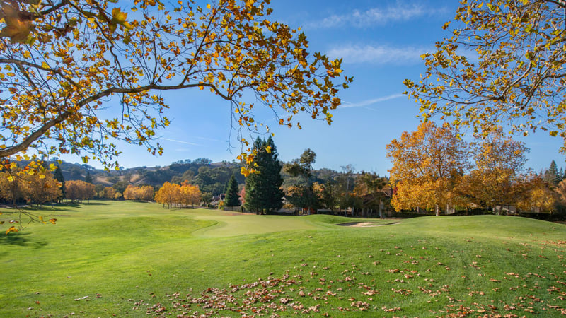 Beim Golfspiel im Herbst entstehen häufig ungewöhnliche Situationen. (Quelle: Unsplash)