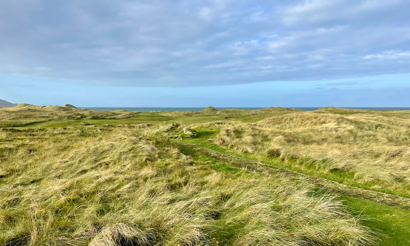 Von wegen schwarzes Schaf: Mach Dunes ist großes Golf mit gutem Gewissen