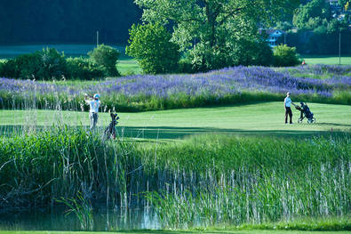 Impressionen Golf Club Limpachtal (Foto: Golf Club Limpachtal)