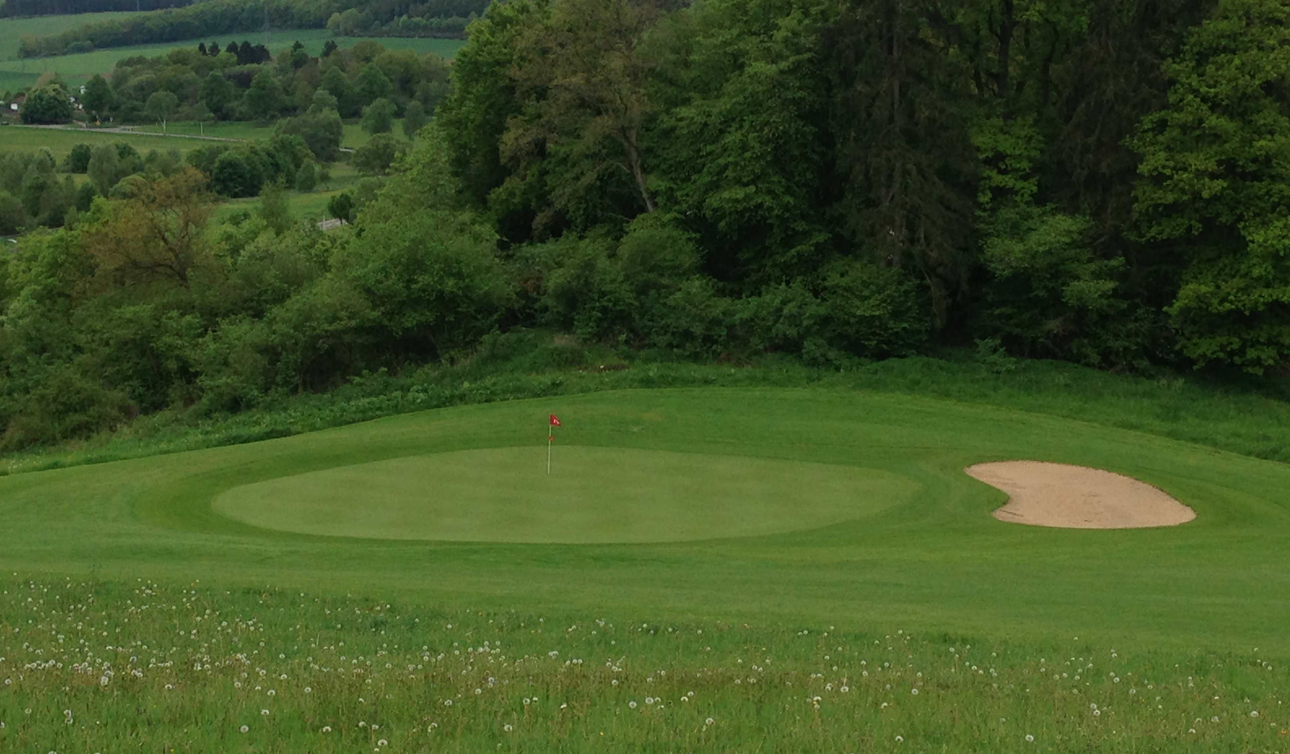 Hinter dem Grün geht es runter: Vorsicht ist geboten! (Foto: GC Repetal)
