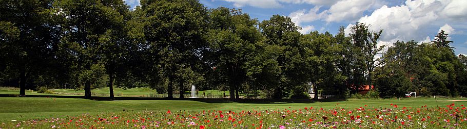 Impressionen (Foto: GC München-Riedhof)