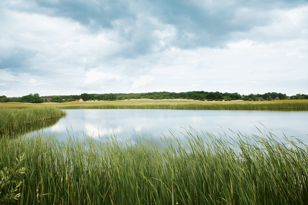 Impressionen vom A-Rosa Golf Club. (Foto: A-Rosa Golf Club e.V.)