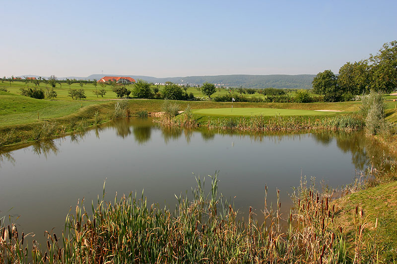 # 17 - Par 5 mit Inselgrün (Foto: Golfgarten Deutsche Weinstraße)