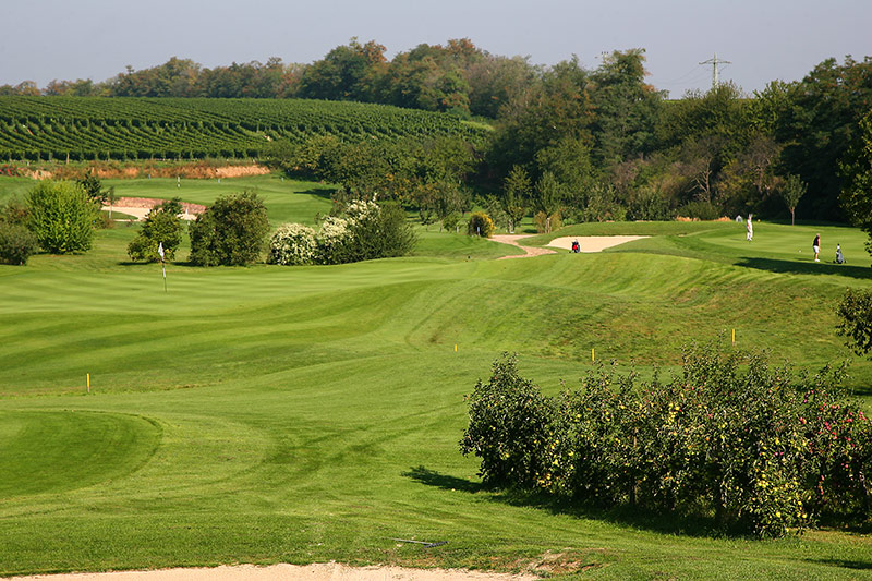 li: grün der 13
re: grün der 6
hi: grün der 16
(Foto: Golfgarten Deutsche Weinstraße)
