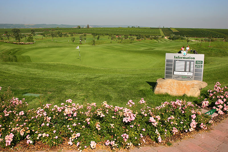 # 18 Grün (Foto: Golfgarten Deutsche Weinstraße)