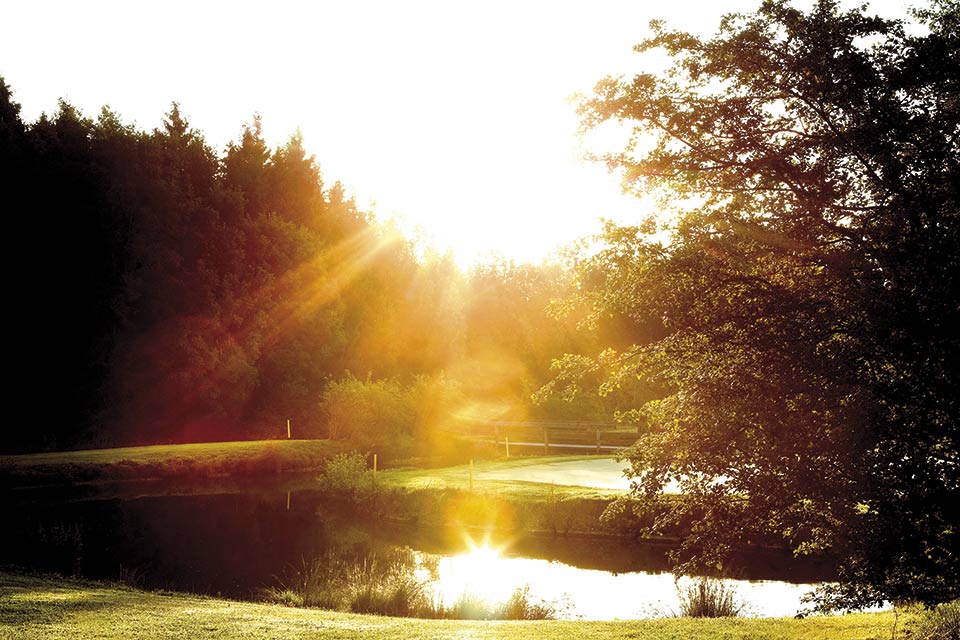 "Der frühe Vogel fängt den Wurm." Der GC Berchtesgadener Land ist auch in den Morgenstunden wunderschön. (Quelle: GC Berchtesgadener Land)