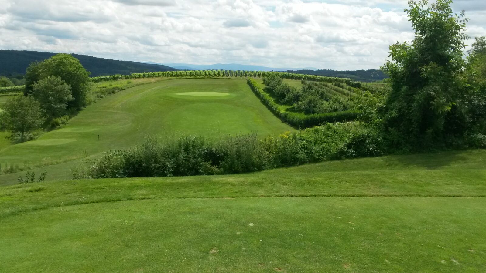 Abschlag Bahn 9 des 9-Loch-Platzes "Heckenrose" (Foto: Golf Post)