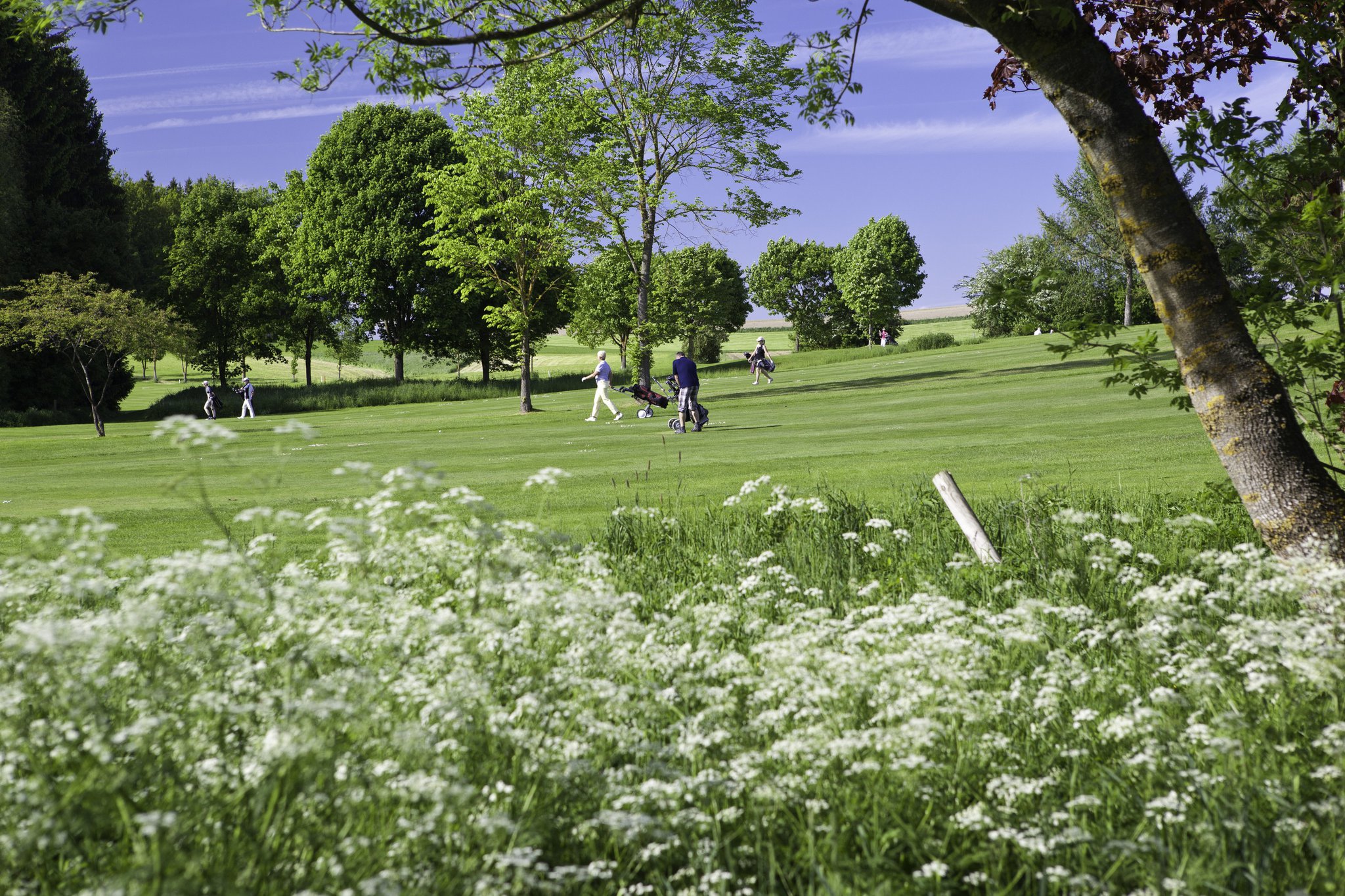 Impressionen vom Golfclub Pfaffing Wasserburger Land. (Bild: Golfclub Pfaffing Wasserburger Land)