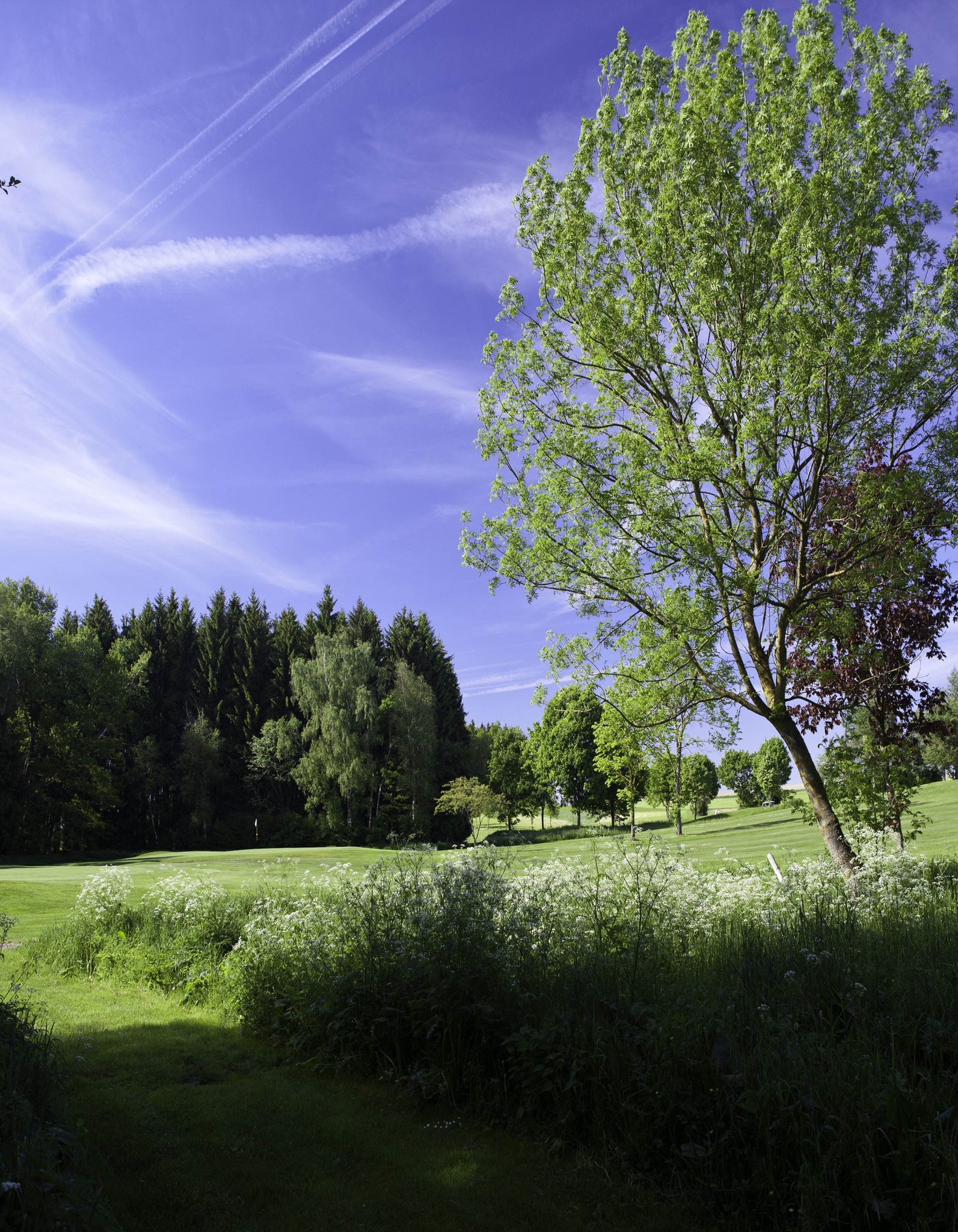 Impressionen vom Golfclub Pfaffing Wasserburger Land. (Bild: Golfclub Pfaffing Wasserburger Land)
