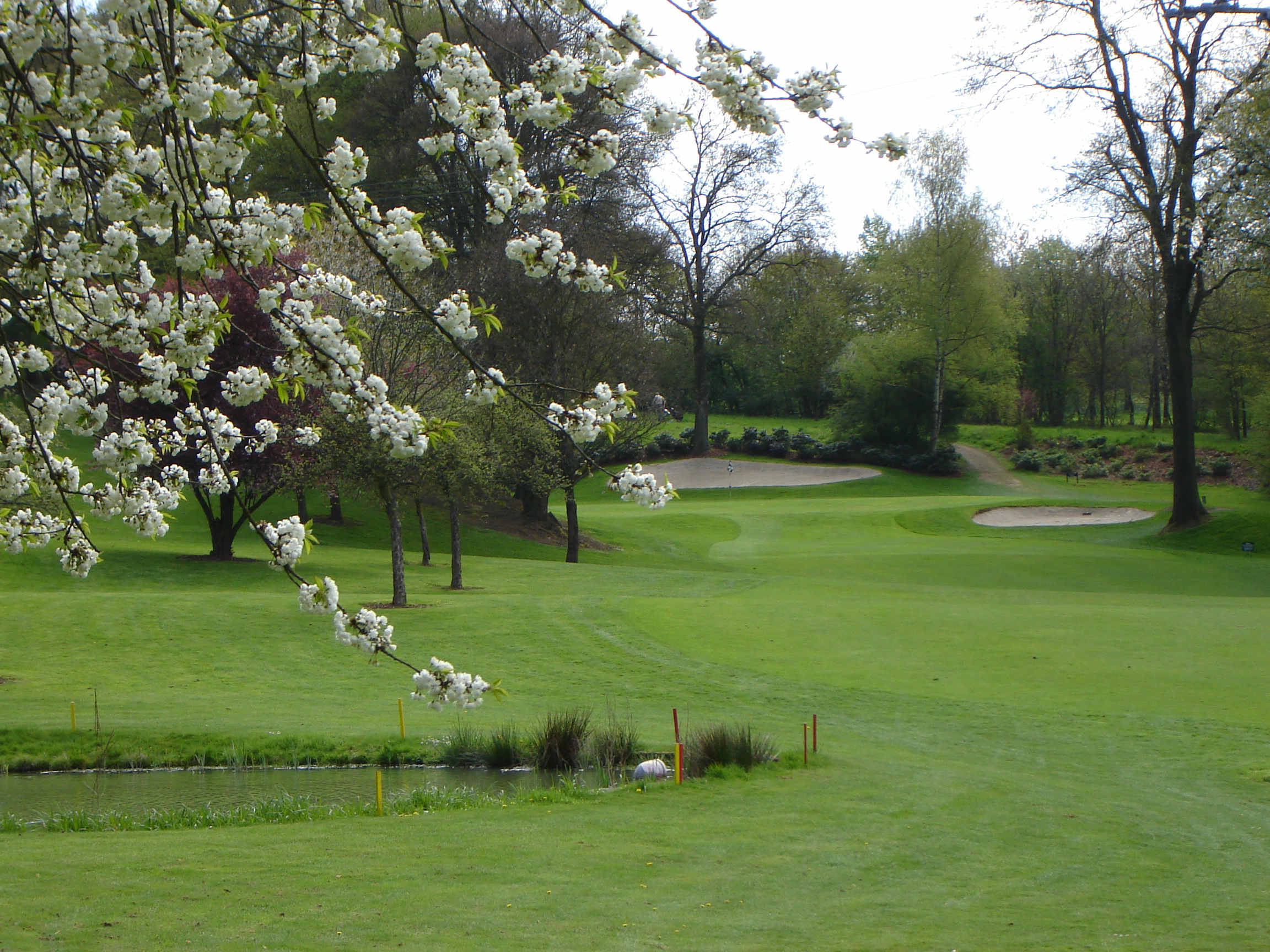 Foto: GLC Bad Neuenahr