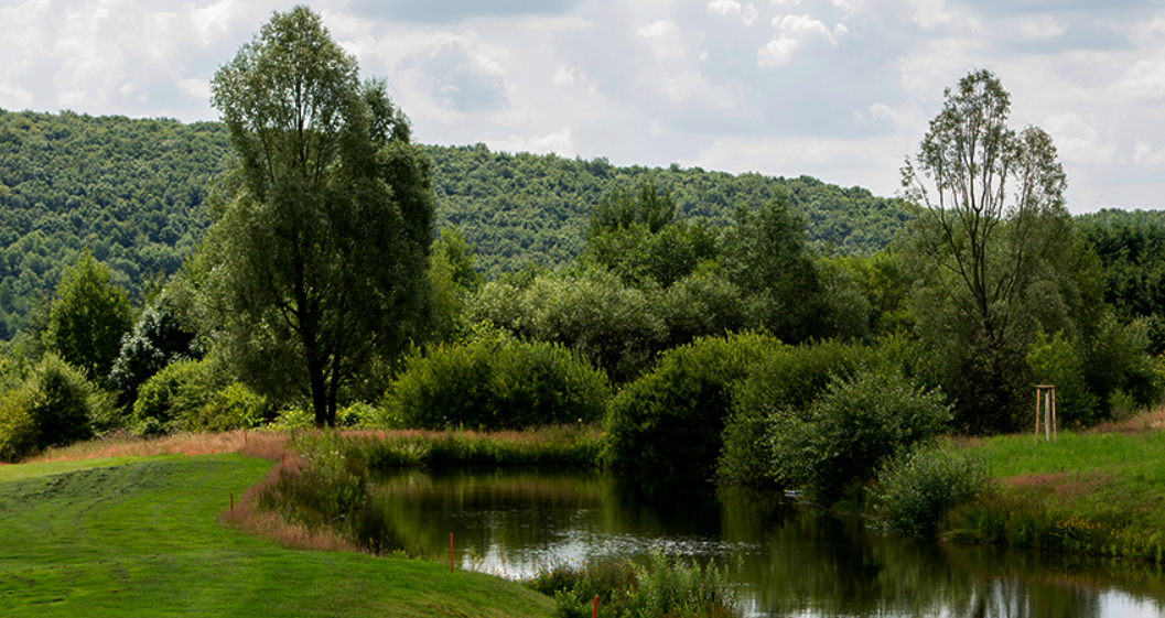 Impressionen vom Golfpark Bostalsee. (Quelle: Golfpark Bostalsee)