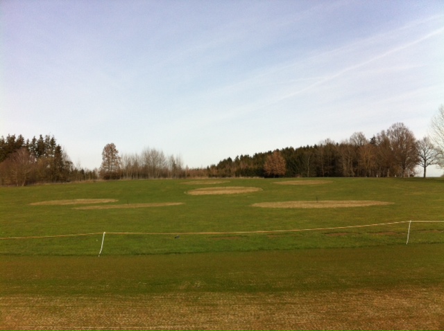 Foto: GC Odelzhausen 