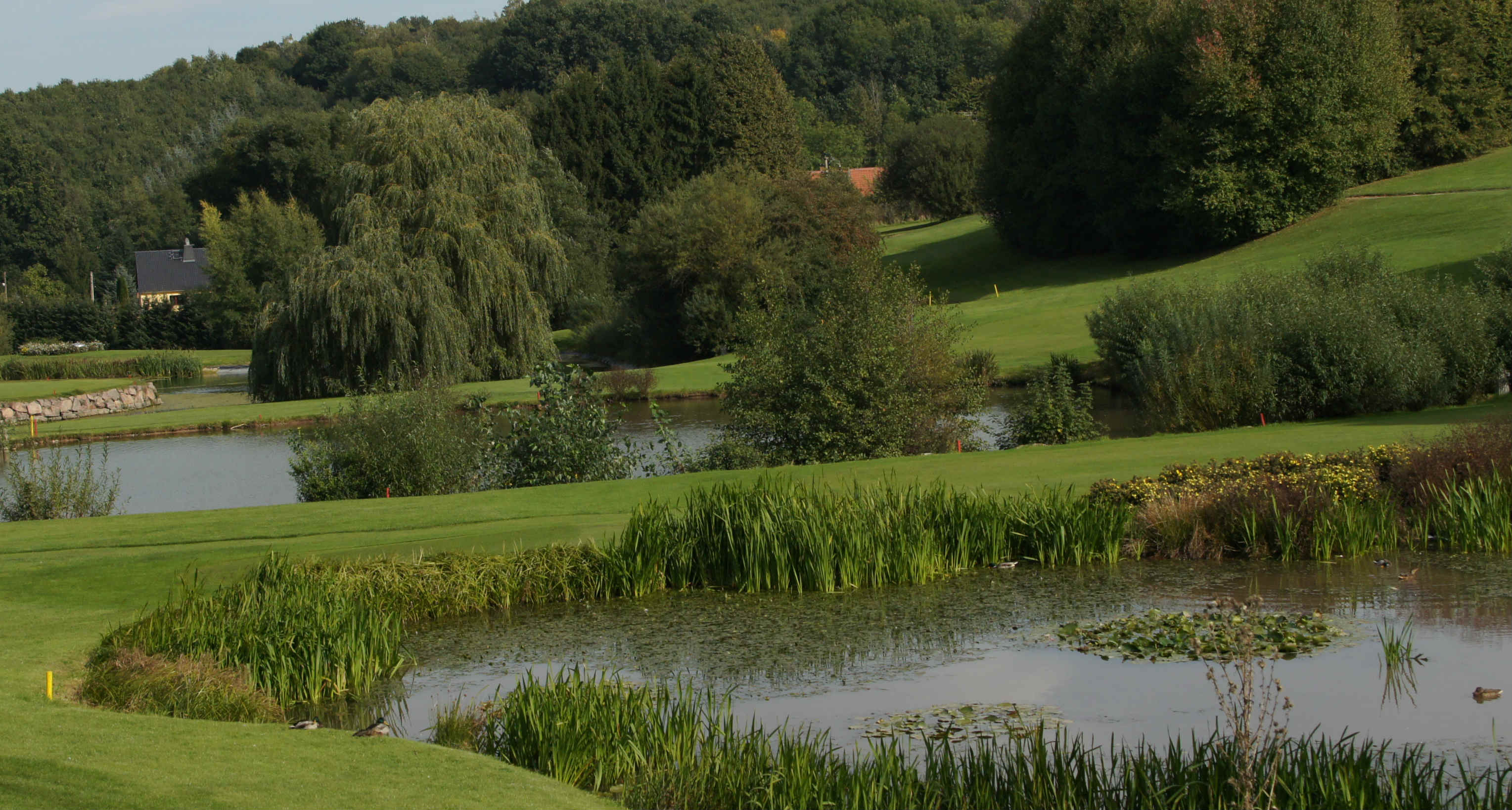 Foto: Golfpark Dresden Elbflorenz