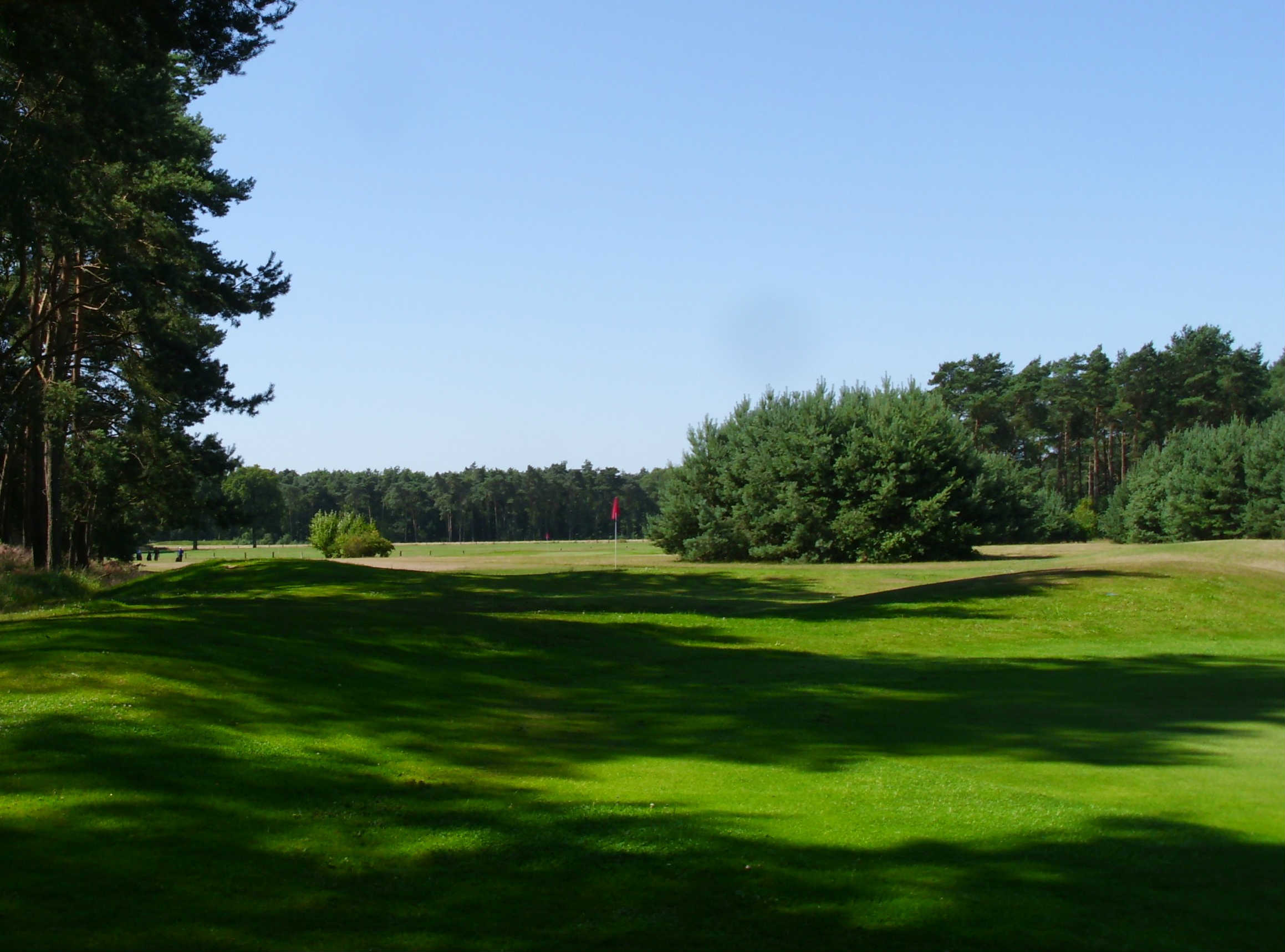Die Fairways ziehen sich durch einen dichten Wald. (Foto: Golfclub Aukrug)
