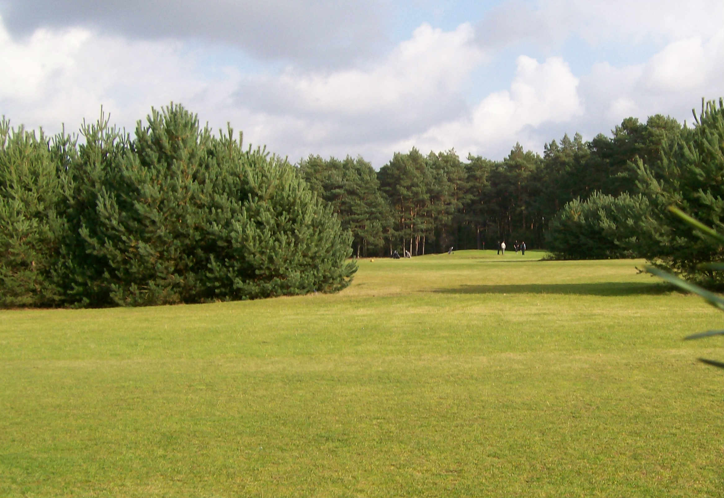 Schöne Grünanlagen mit Teichen und Büschen gibt es immer wieder auf der Anlage.(Foto: Golfclub Aukrug)