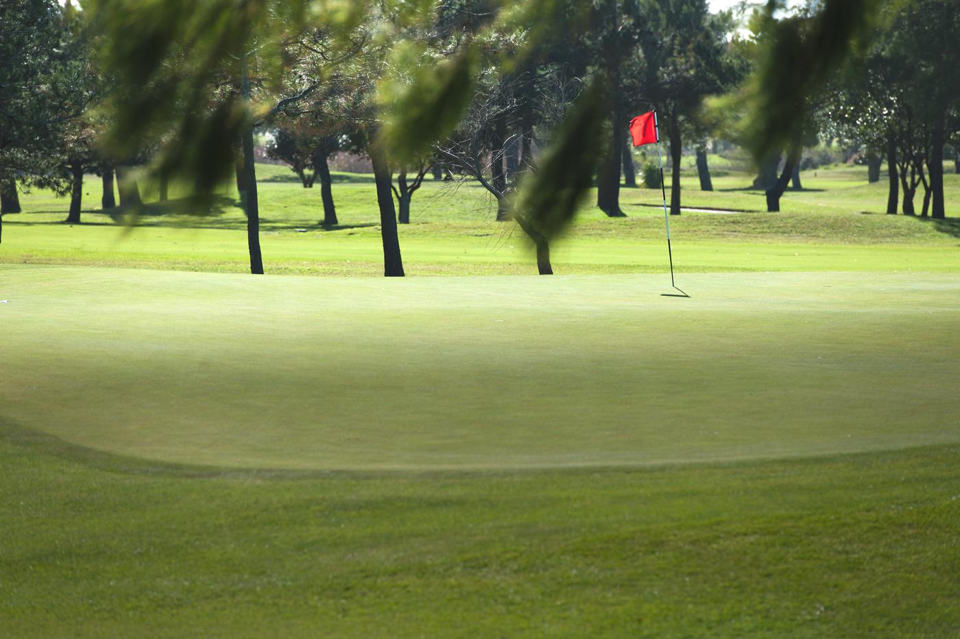 Royal Cape Golfclub (Foto: Royal Cape Golfclub)