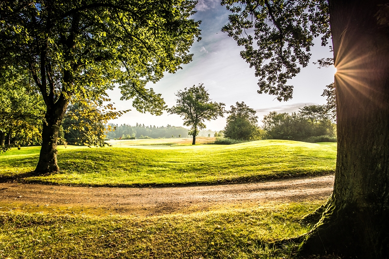 Impressionen vom Golf- & Country Club Fleesensee. (Bild: Golf- & Country Club Fleesensee)