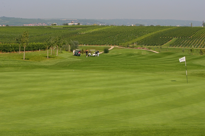 Impressionen des Golfgarten Deutsche Weinstraße. (Foto: Golfgarten Deutsche Weinstraße)