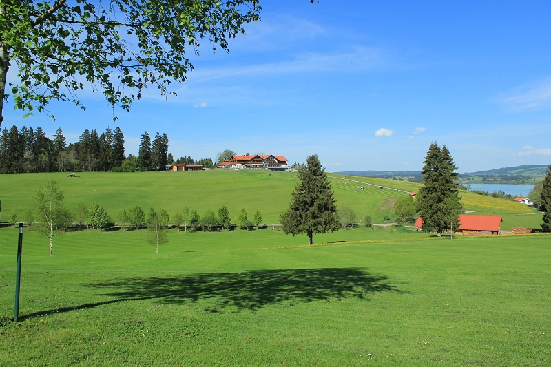 Impressionen der Golfanlage Auf der Gsteig. (Foto: Golfanlage Auf der Gsteig)