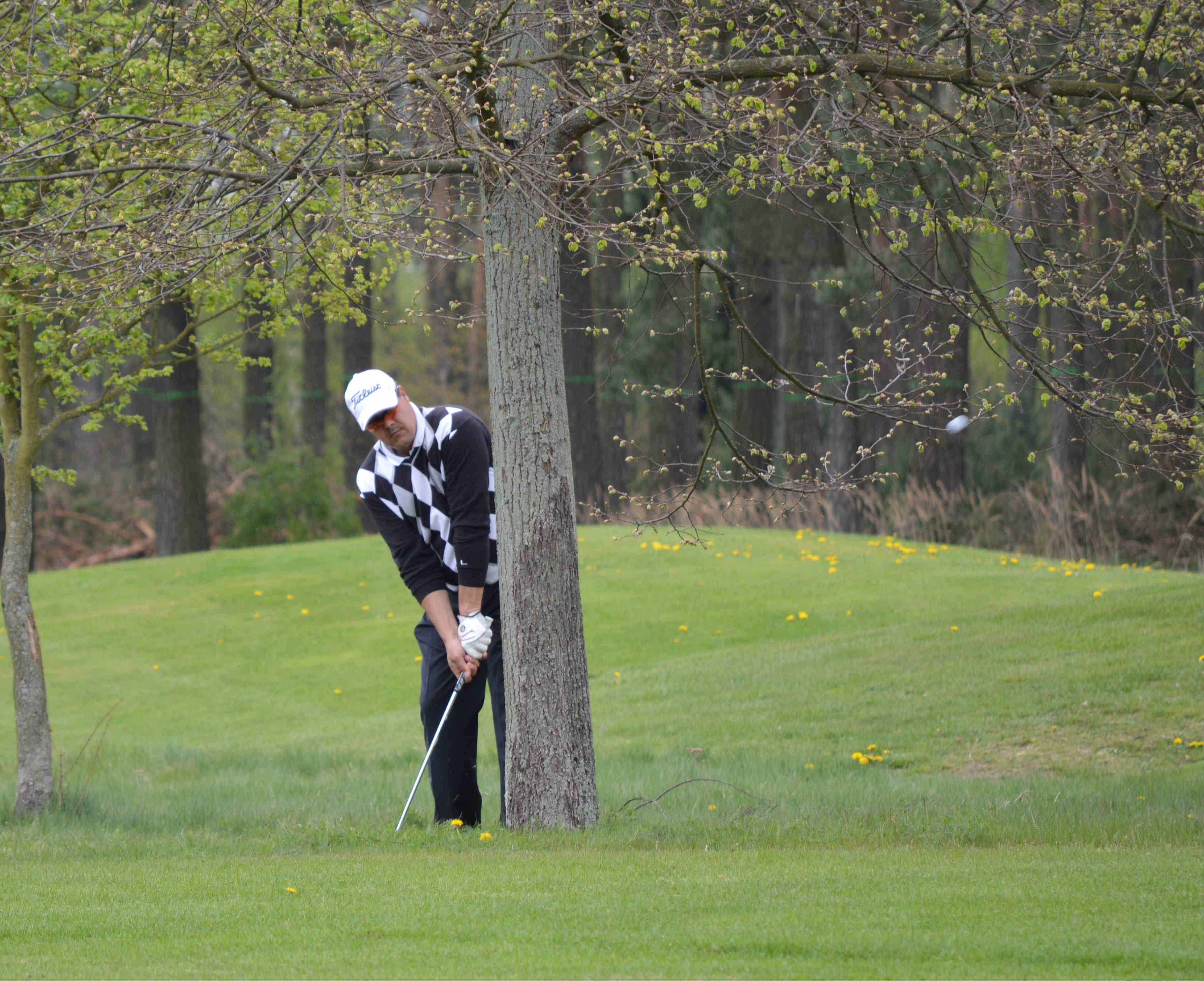 Foto: Lausitzer Golfclub