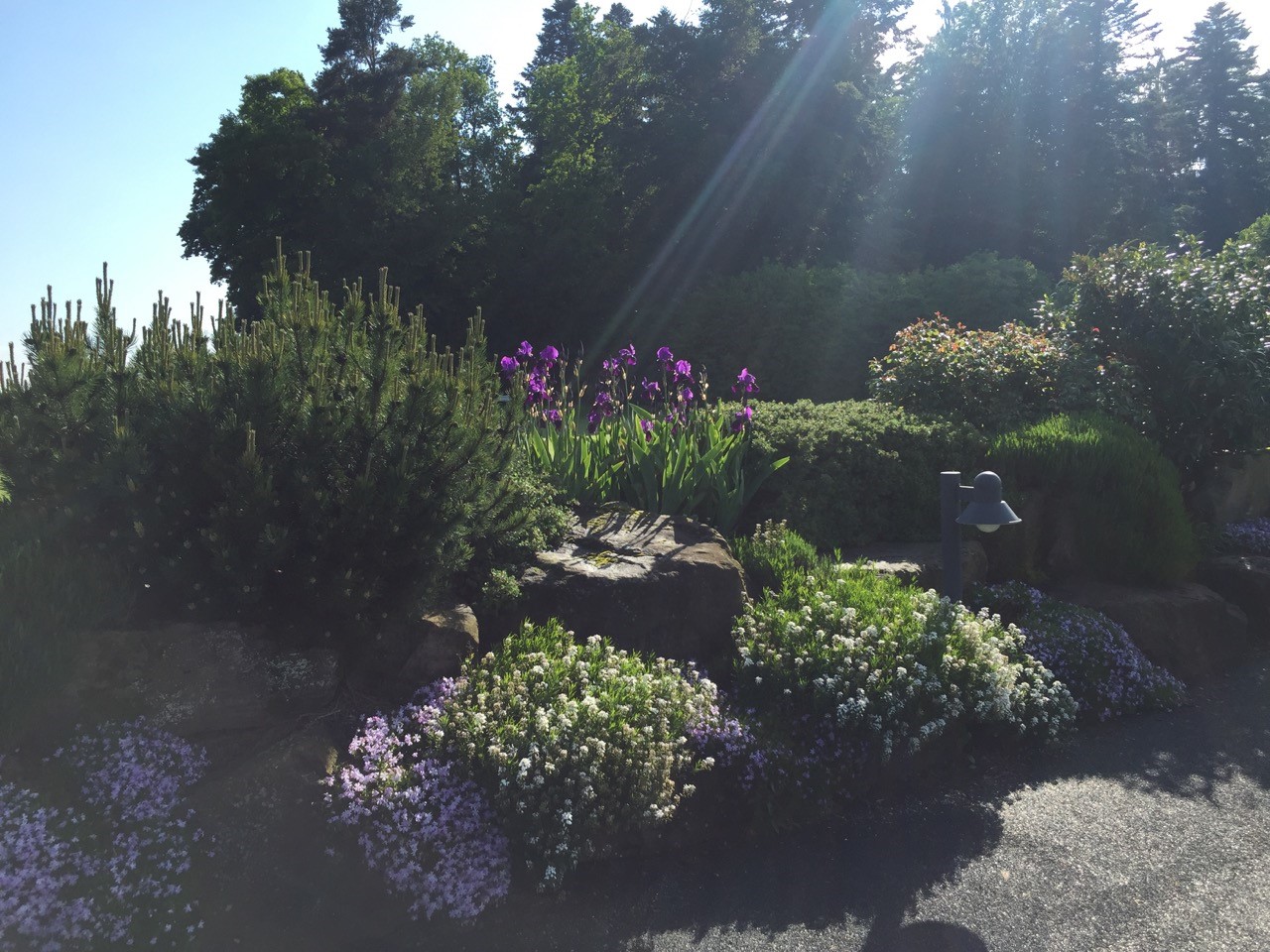 Impressionen des GC Bad Liebenzell. (Foto: GC Bad Liebenzell)