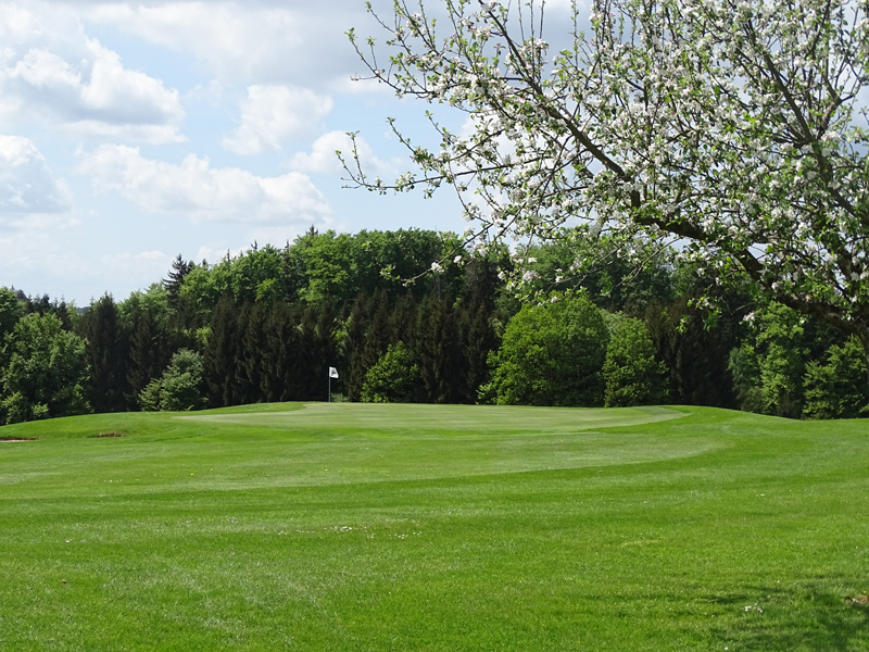 Bahn 3. (Quelle: GC Oberrot-Frankenberg)