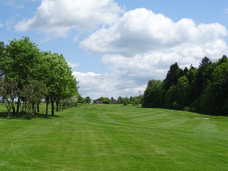 Bahn 2, immer am Wald entlang. (Quelle: GC Oberrot-Frankenberg)