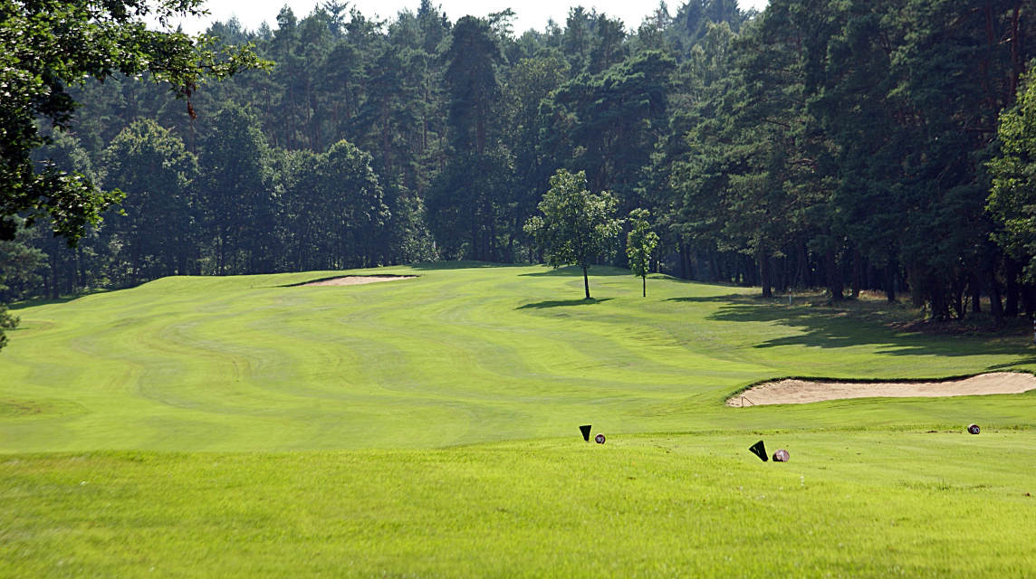 Breite Fairway umrandet von einem üppigen Baumbestand. (Foto: GC Bad Wildungen)