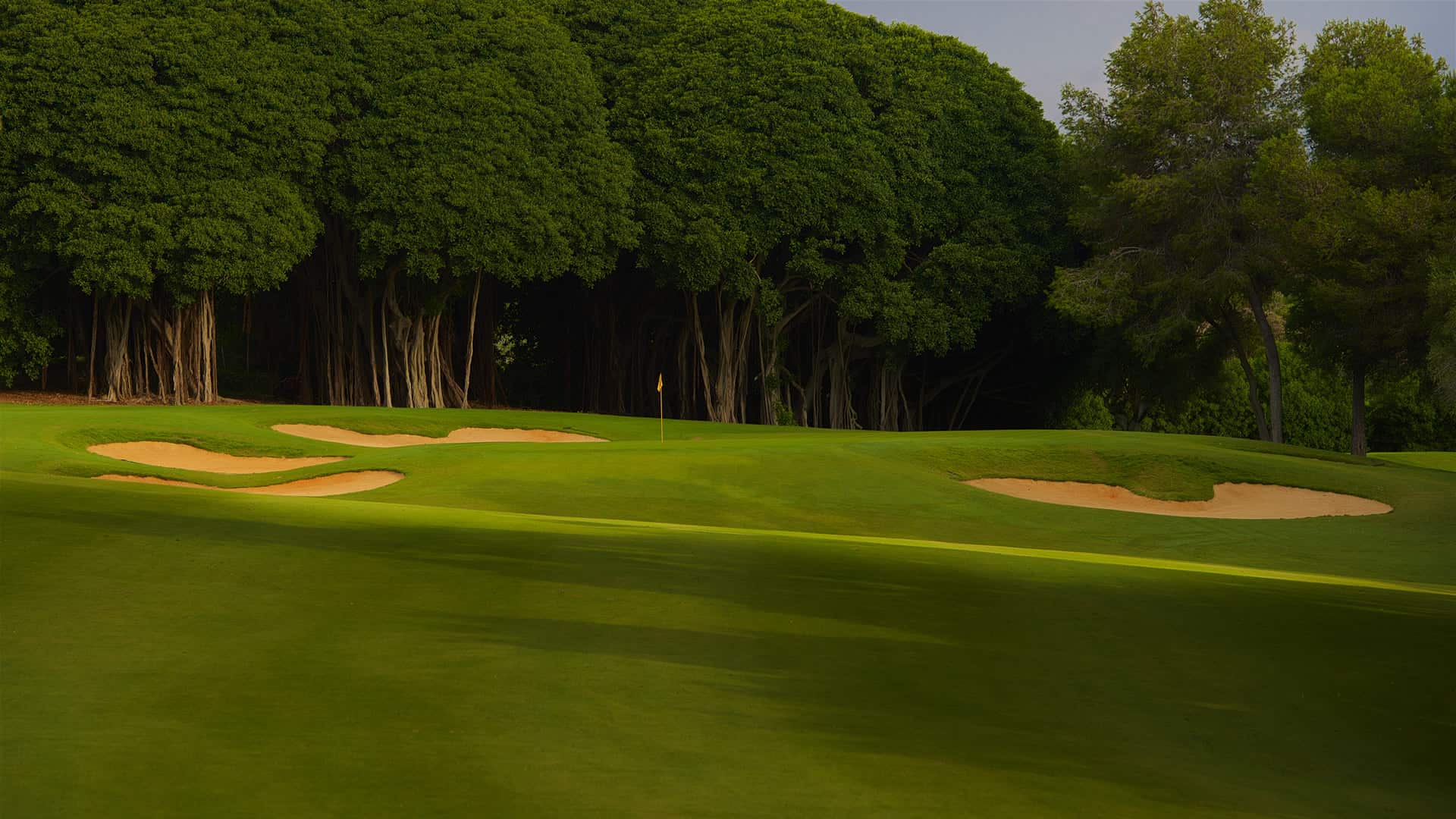 (Foto: www.golfsotogrande.com)