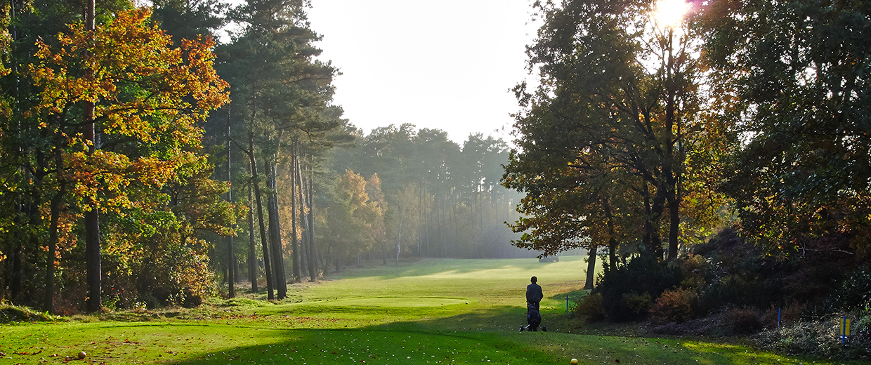 GC Herzogstadt Celle