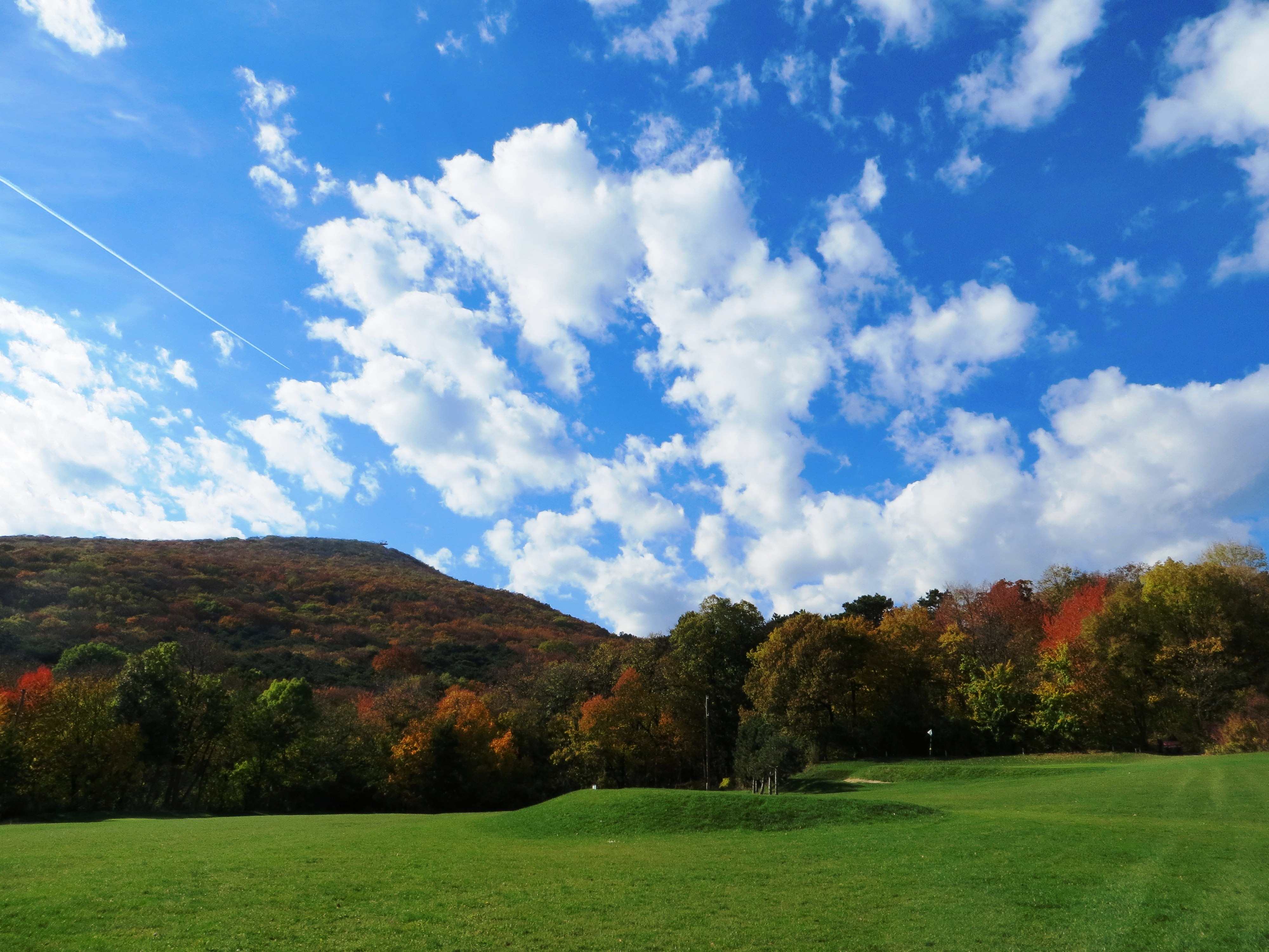 City & Country Golfclub Richardhof