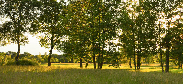 Golfsportclub Rheine/Mesum