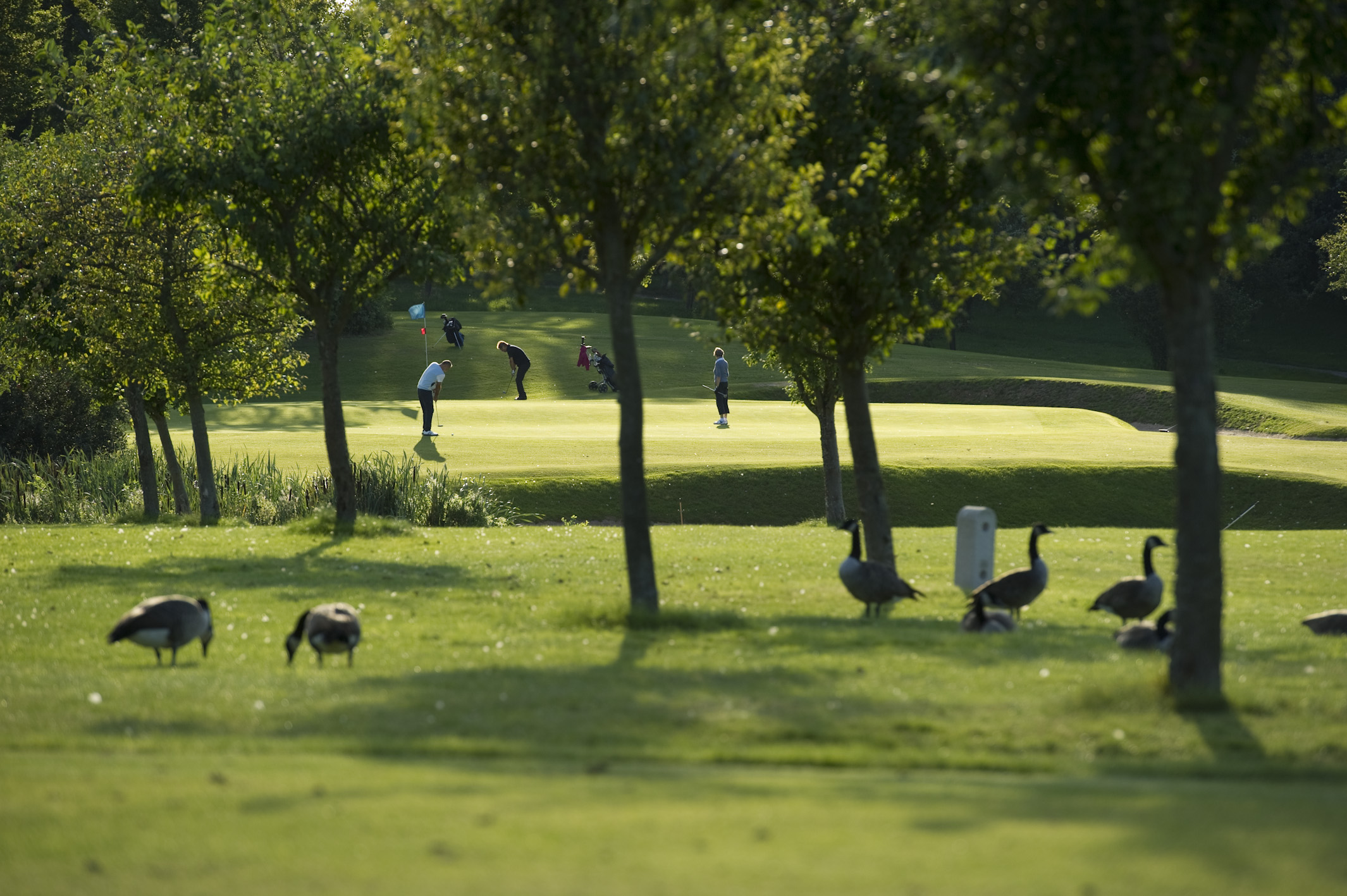 Golf- & LandClub Gut Uhlenhorst