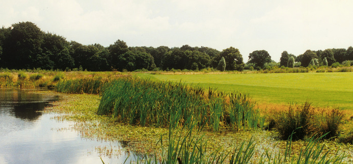 GC Schloß Westerholt