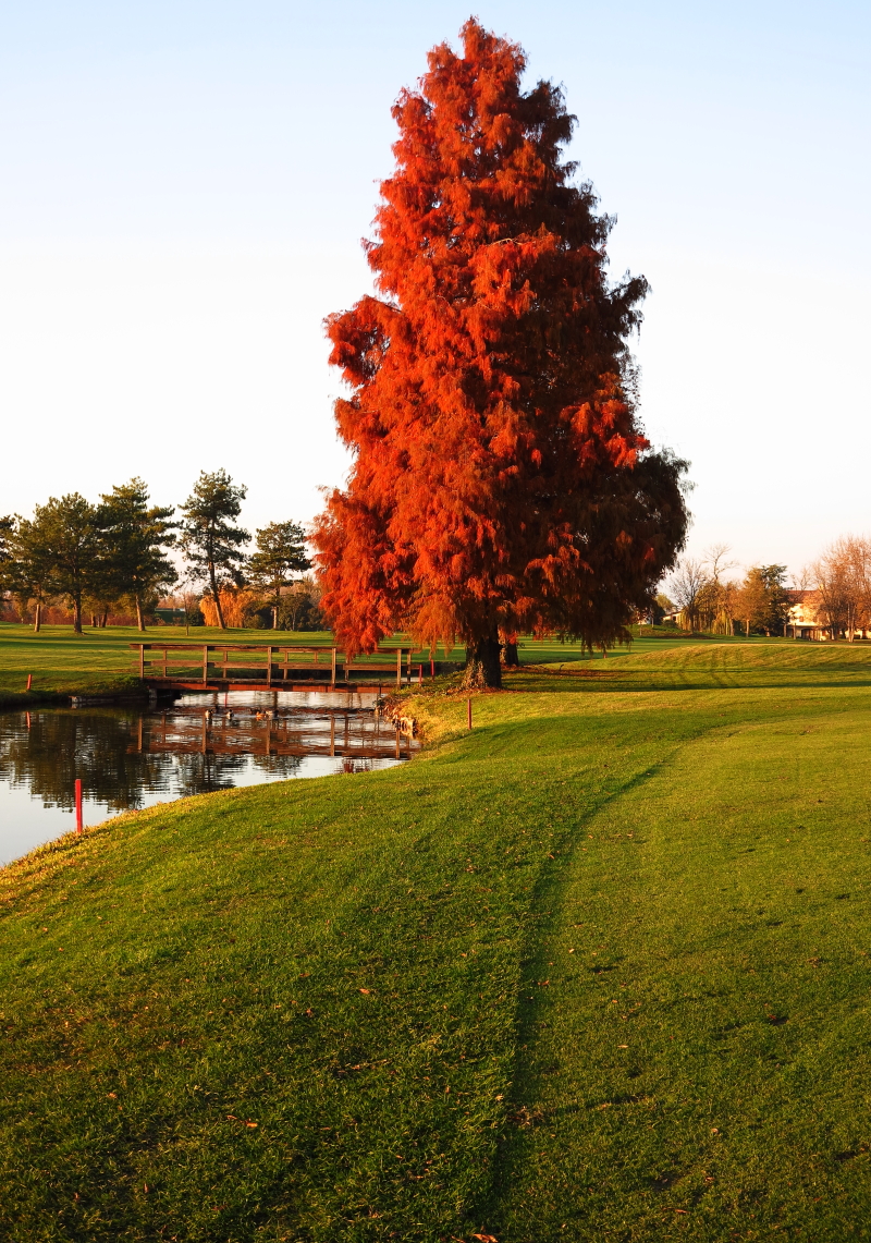 Golf Club Ca´della Nave