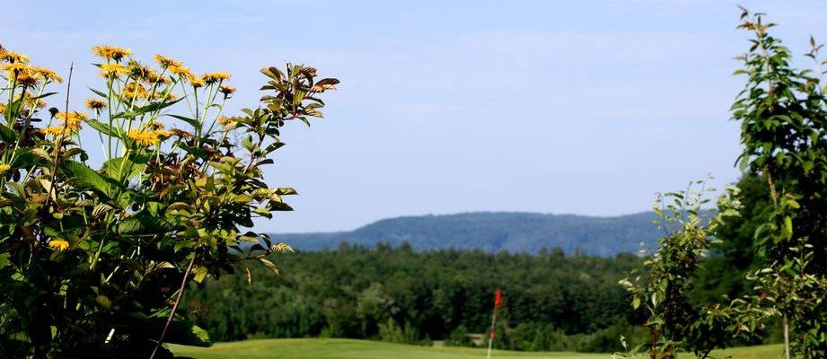 Blick auf ein Grün des Golfclubs Bamberg auf Gut Leimershof