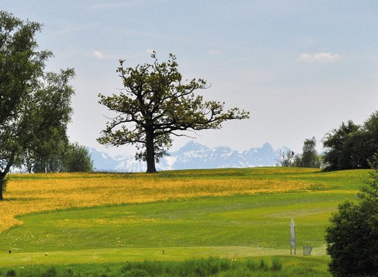 Golfclub zu Gut Ludwigsberg