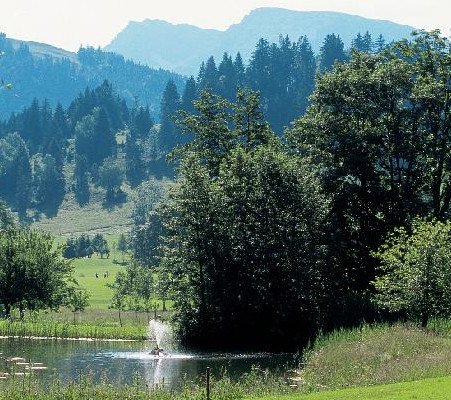 GC Oberstaufen-Steibis