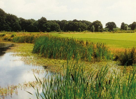 GC Schloß Westerholt