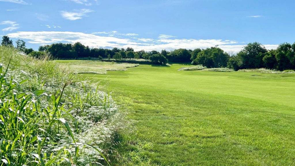 Natürliche Begrenzung der Fairways (Foto: Jürgen Linnenbürger)