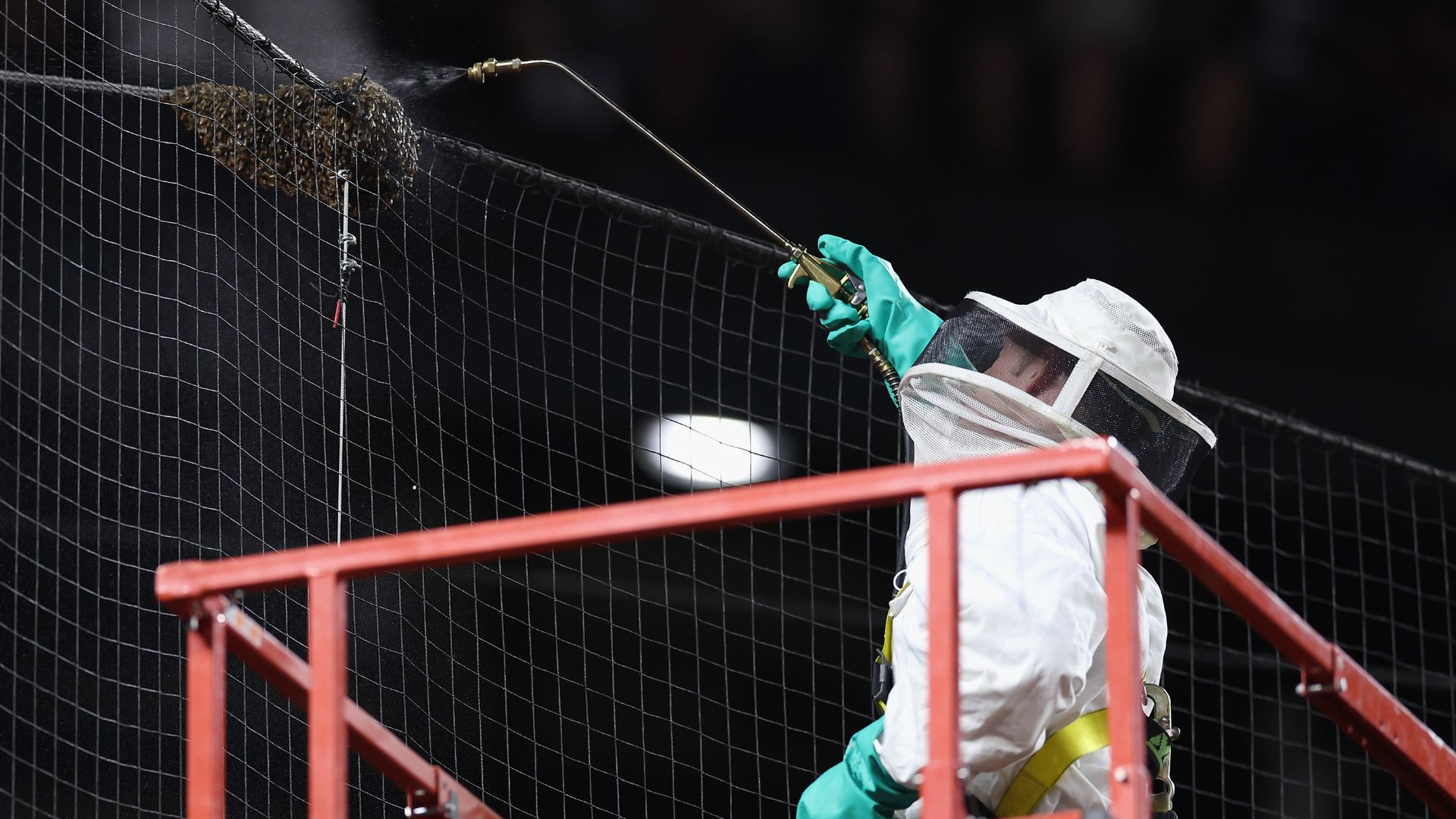 Der Bienenzüchter bekämpft den Bienenschwarm, welcher für die Verzögerung des Baseballspiels sorgt. (Foto: Getty)